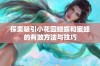 探索吸引小花园蝴蝶和蜜蜂的有效方法与技巧