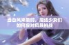 当台风来袭时，魔法少女们如何应对风暴挑战