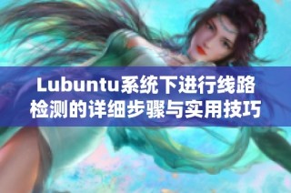 Lubuntu系统下进行线路检测的详细步骤与实用技巧