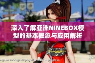 深入了解亚洲NINEBOX模型的基本概念与应用解析