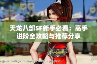 天龙八部SF新手必看：高手进阶全攻略与推荐分享