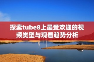 探索tube8上最受欢迎的视频类型与观看趋势分析