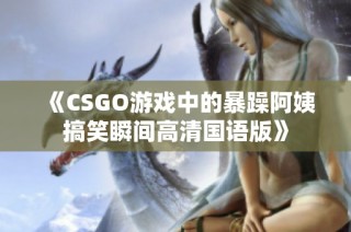 《CSGO游戏中的暴躁阿姨搞笑瞬间高清国语版》