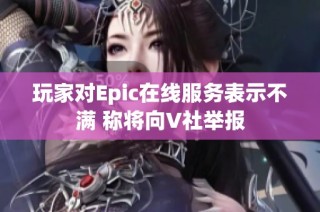 玩家对Epic在线服务表示不满 称将向V社举报