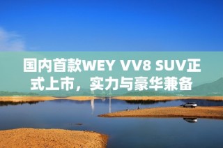 国内首款WEY VV8 SUV正式上市，实力与豪华兼备