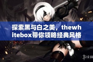 探索黑与白之美，thewhitebox带你领略经典风格