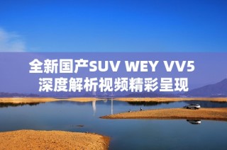 全新国产SUV WEY VV5 深度解析视频精彩呈现