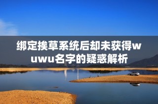 绑定挨草系统后却未获得wuwu名字的疑惑解析