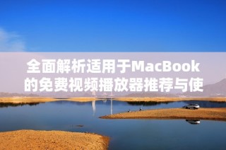 全面解析适用于MacBook的免费视频播放器推荐与使用体验