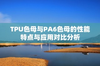 TPU色母与PA6色母的性能特点与应用对比分析