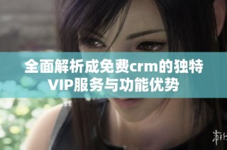 全面解析成免费crm的独特VIP服务与功能优势