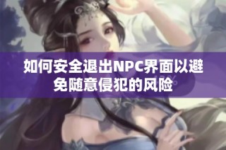 如何安全退出NPC界面以避免随意侵犯的风险