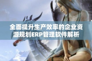 全面提升生产效率的企业资源规划ERP管理软件解析