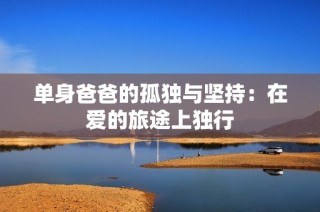 单身爸爸的孤独与坚持：在爱的旅途上独行