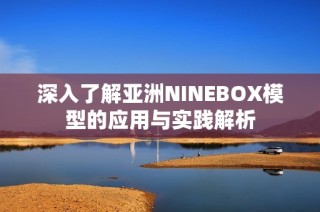 深入了解亚洲NINEBOX模型的应用与实践解析