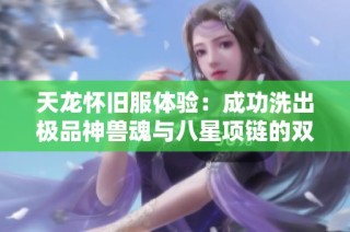 天龙怀旧服体验：成功洗出极品神兽魂与八星项链的双重喜悦