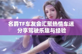 名爵TF车友会汇聚热情车迷 分享驾驶乐趣与经验