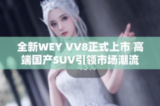 全新WEY VV8正式上市 高端国产SUV引领市场潮流