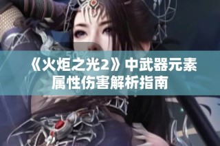 《火炬之光2》中武器元素属性伤害解析指南