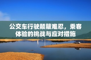 公交车行驶颠簸难忍，乘客体验的挑战与应对措施