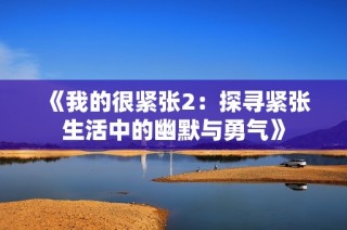 《我的很紧张2：探寻紧张生活中的幽默与勇气》