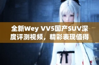 全新Wey VV5国产SUV深度评测视频，精彩表现值得关注