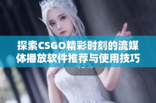 探索CSGO精彩时刻的流媒体播放软件推荐与使用技巧