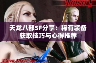 天龙八部SF分享：稀有装备获取技巧与心得推荐