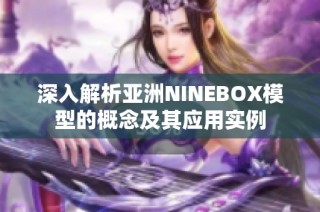 深入解析亚洲NINEBOX模型的概念及其应用实例