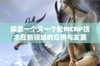 探索一个又一个轮MCNP技术在新领域的应用与发展