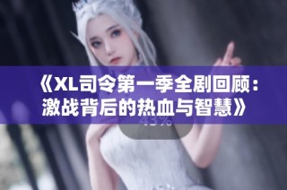 《XL司令第一季全剧回顾：激战背后的热血与智慧》