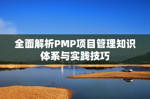 全面解析PMP项目管理知识体系与实践技巧