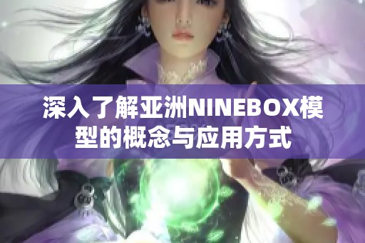 深入了解亚洲NINEBOX模型的概念与应用方式