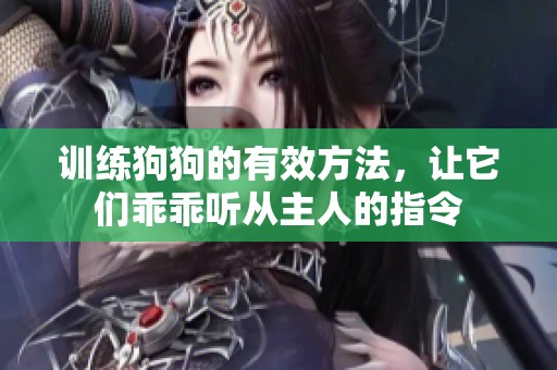 训练狗狗的有效方法，让它们乖乖听从主人的指令