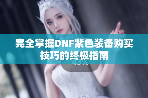 完全掌握DNF紫色装备购买技巧的终极指南