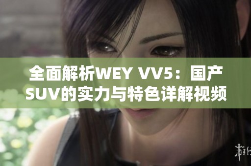 全面解析WEY VV5：国产SUV的实力与特色详解视频