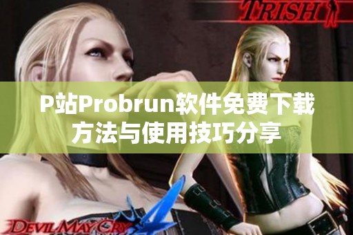 P站Probrun软件免费下载方法与使用技巧分享