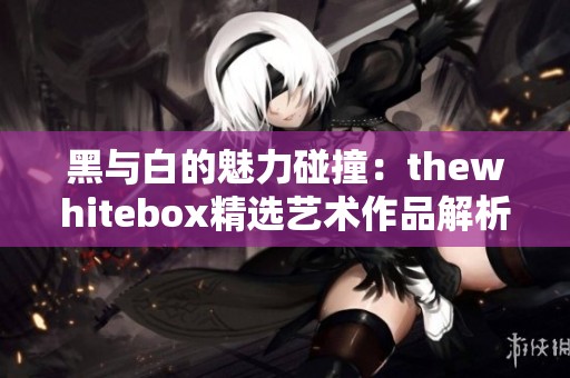 黑与白的魅力碰撞：thewhitebox精选艺术作品解析