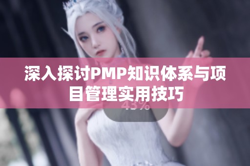 深入探讨PMP知识体系与项目管理实用技巧