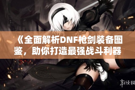 《全面解析DNF枪剑装备图鉴，助你打造最强战斗利器》