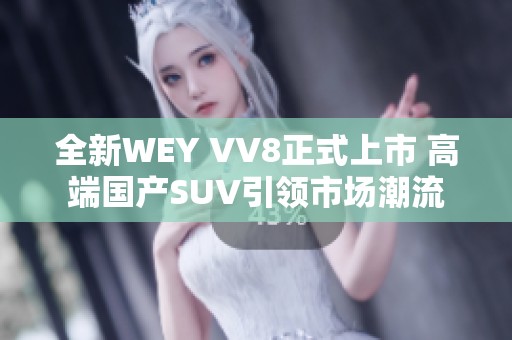 全新WEY VV8正式上市 高端国产SUV引领市场潮流