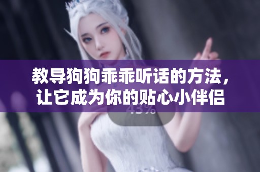 教导狗狗乖乖听话的方法，让它成为你的贴心小伴侣