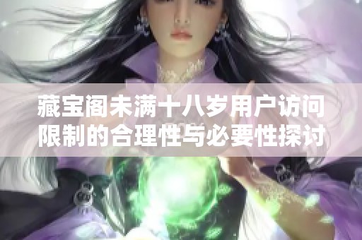 藏宝阁未满十八岁用户访问限制的合理性与必要性探讨