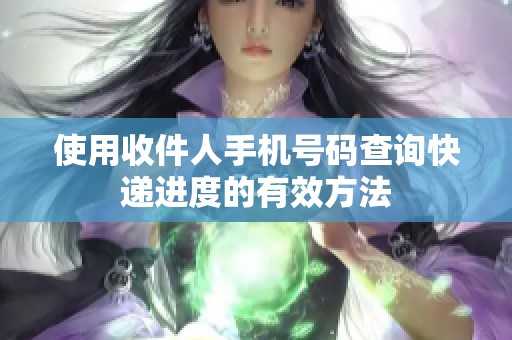 使用收件人手机号码查询快递进度的有效方法