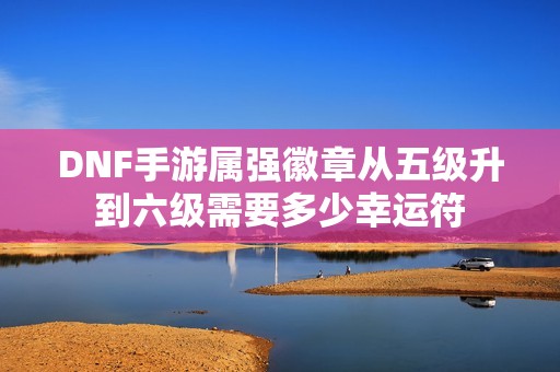 DNF手游属强徽章从五级升到六级需要多少幸运符