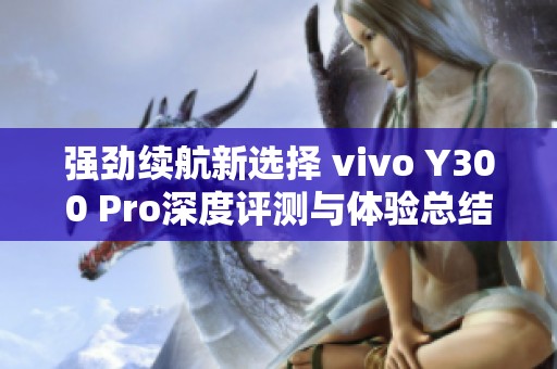 强劲续航新选择 vivo Y300 Pro深度评测与体验总结