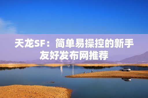 天龙SF：简单易操控的新手友好发布网推荐