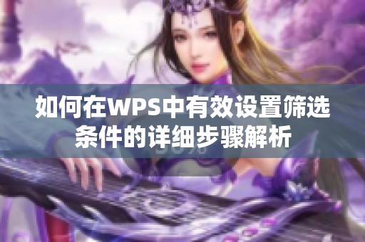 如何在WPS中有效设置筛选条件的详细步骤解析