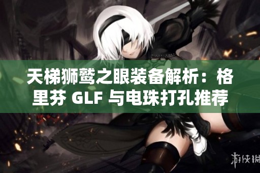 天梯狮鹫之眼装备解析：格里芬 GLF 与电珠打孔推荐