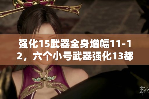 强化15武器全身增幅11-12，六个小号武器强化13都追忆天的精彩攻略